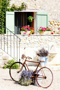 As belas paisagens da Provence - e seus campos de lavanda - são um convite ao passeio de bicicleta