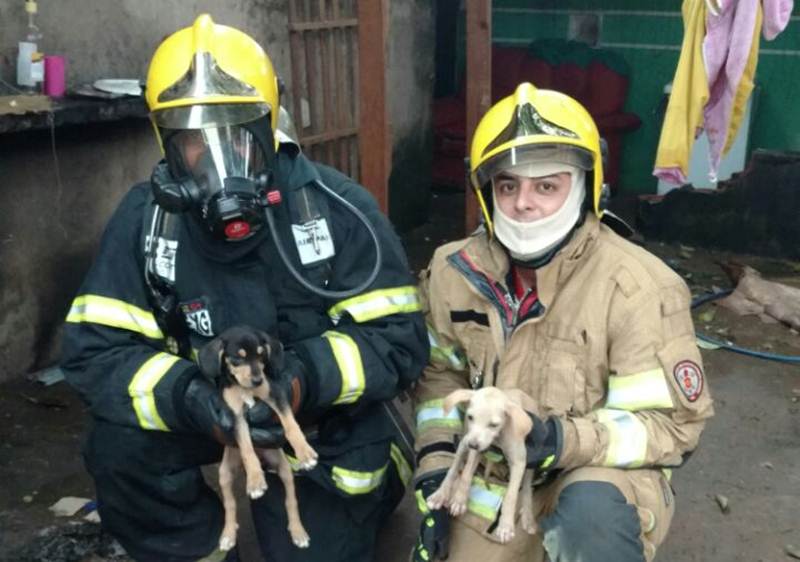 Corpo de Bombeiros/Divulgação