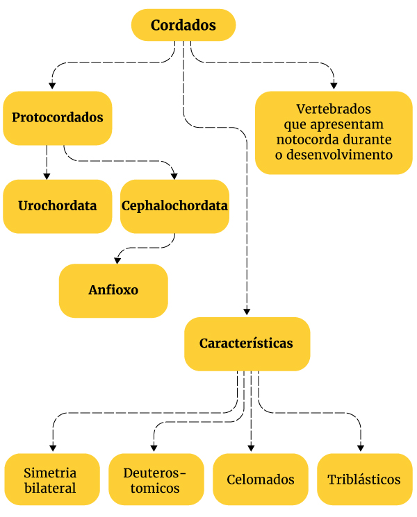 Joelson Miranda/Metrópoles