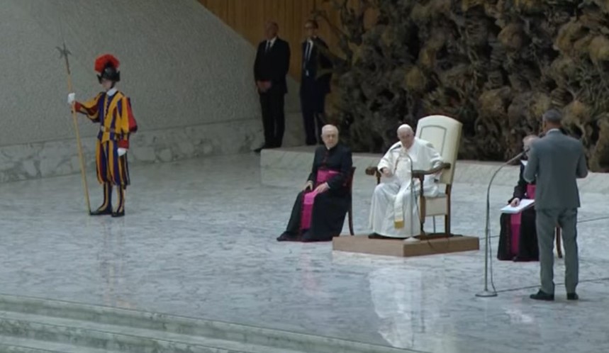 Vídeo guarda desmaia durante audiência do papa Francisco no Vaticano