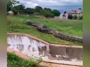 V Deo Sucuri Gigante Flagrada Entrando Em Lago De Bonito Ms