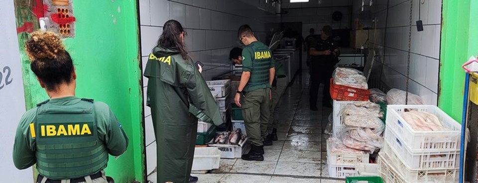 Ibama Apreende Cinco Toneladas De Pescado Irregular No Rio Grande Do