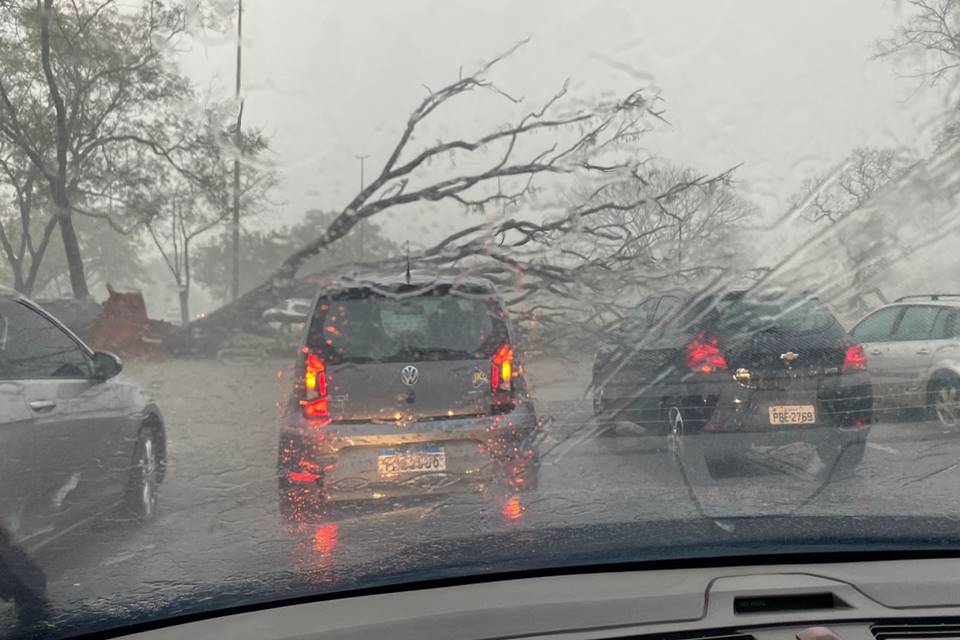 Chuvas Derrubam Rvores E Alagam V Rios Pontos Da Cidade Veja Imagens