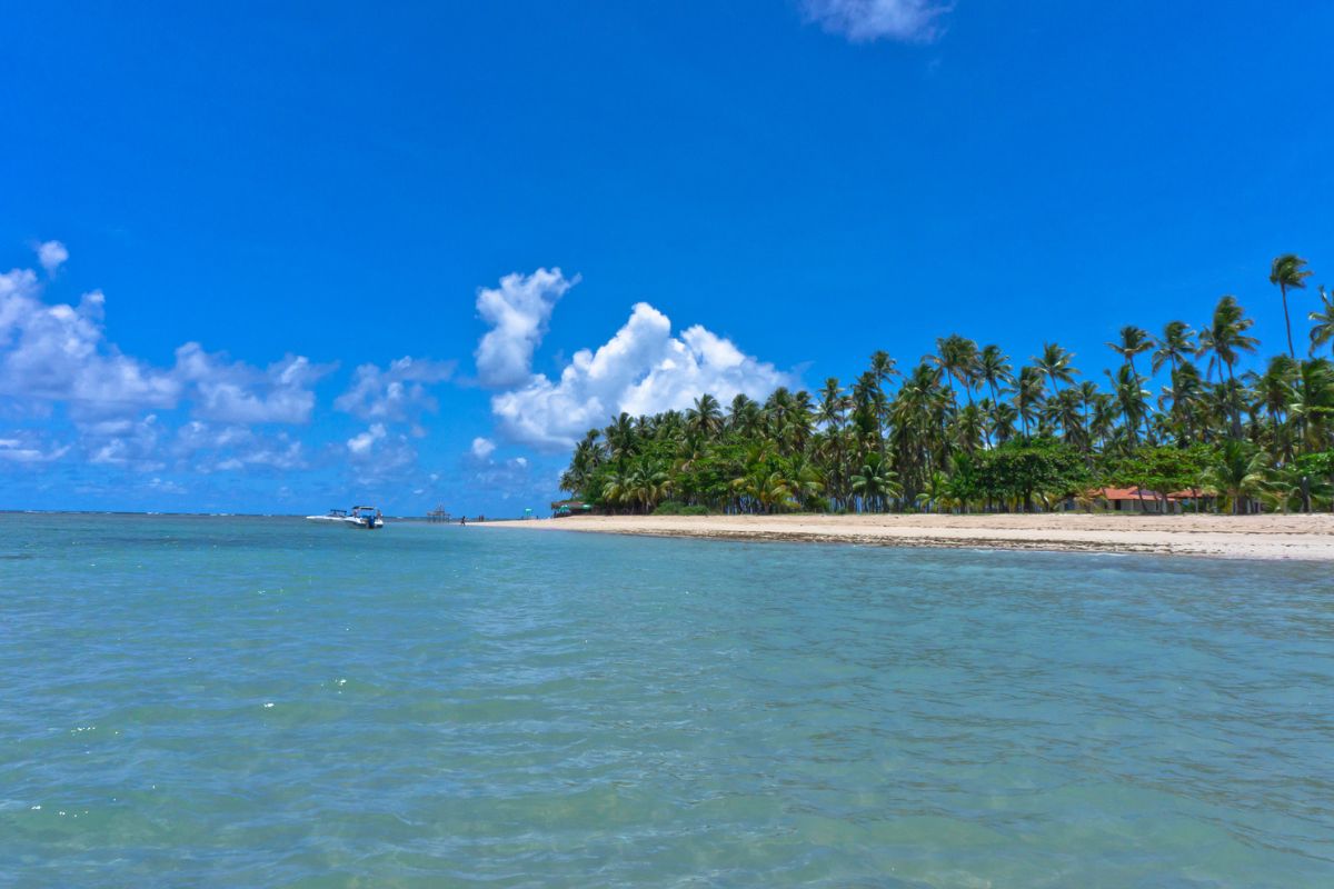 Veja dicas imperdíveis de 21 praias na Bahia que você precisa visitar