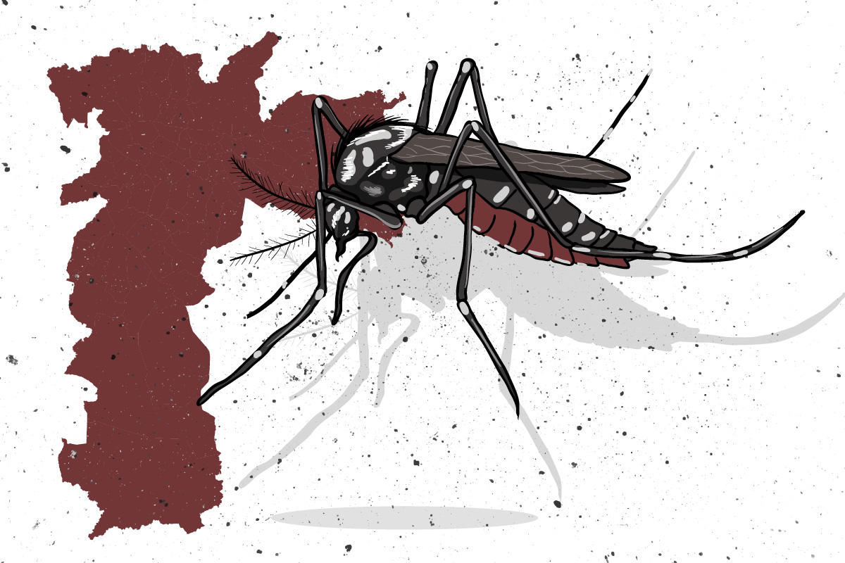 Explosão de casos espalha epidemia de dengue em bairros da zona norte