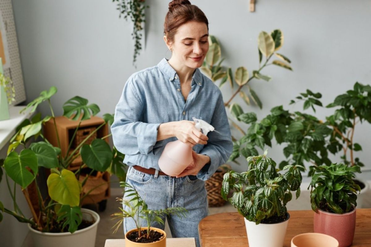 Menos água e mais proteção 4 dicas para cuidar das plantas no inverno