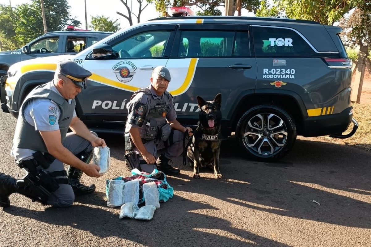 C O Farejador Descobre Drogas Amarradas Em Pernas De Adolescente