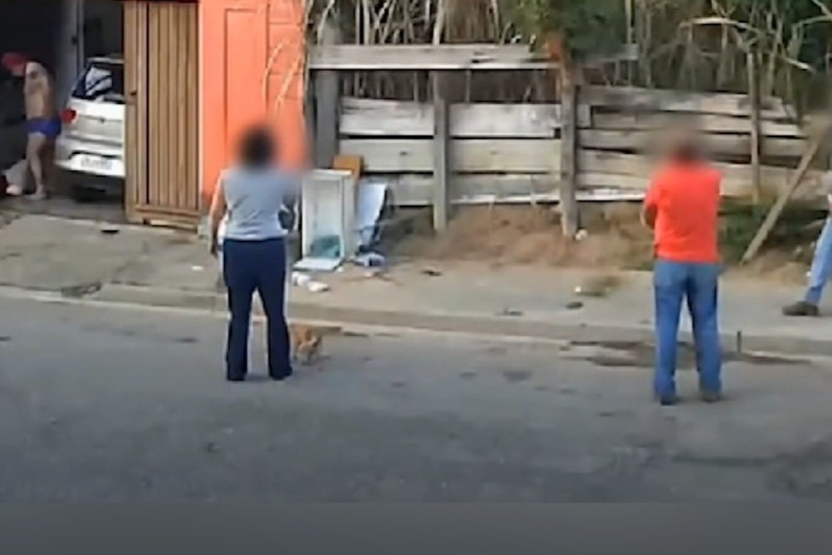 Vídeo homem é contido por vizinhos enquanto agredia companheira em SP