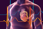 O infarto do miocárdio acontece quando o fluxo sanguíneo no músculo miocárdio é interrompido por longo período. A ausência do sangue na região pode causar sérios problemas e até a morte do tecido. Obesidade, cigarro, colesterol alto e tendência genética podem causar a doença. Entre os sintomas estão: dor no peito que dura 20 minutos, formigamento no braço, queimação no peito, etc.