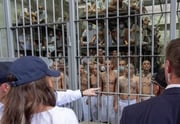Integrantes de PCC e CV poderão ir para prisão destinada a terroristas em El Salvador