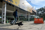 Zoológico de Brasília é fechado por suspeita de casos de gripe aviária