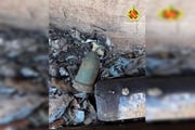 Granada encontrada em Ceilândia