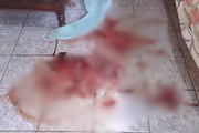 Polícia encontrou manchas de sangue na casa da mãe vítima do filho