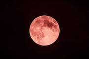 "Lua de Morango” atinge auge nesta quarta (11/6); saiba como observar