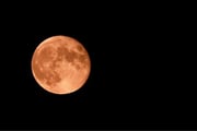 Lua de Morango