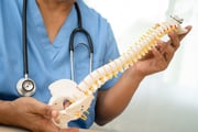 A estrutura oferece sustentação para o tronco do corpo