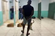 Ele foi preso em flagrante nessa quarta-feira (11/6)