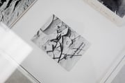 Detalhes de obra exposta 