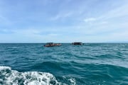 Grupo de 20 pessoas estavam naufragando em visitação de baleias