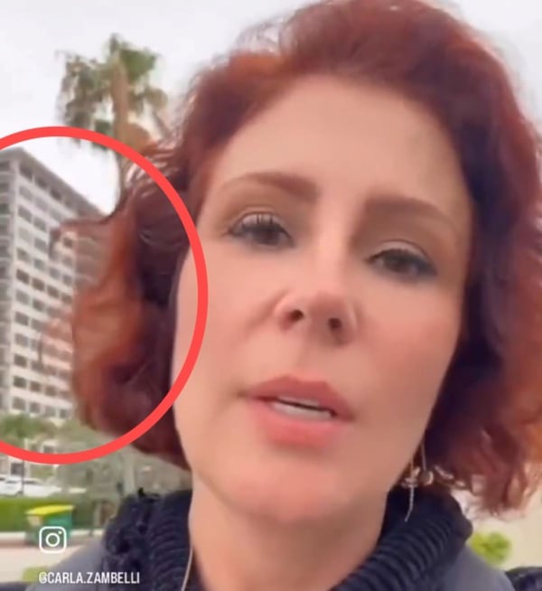Carla Zambelli em imagem instalada