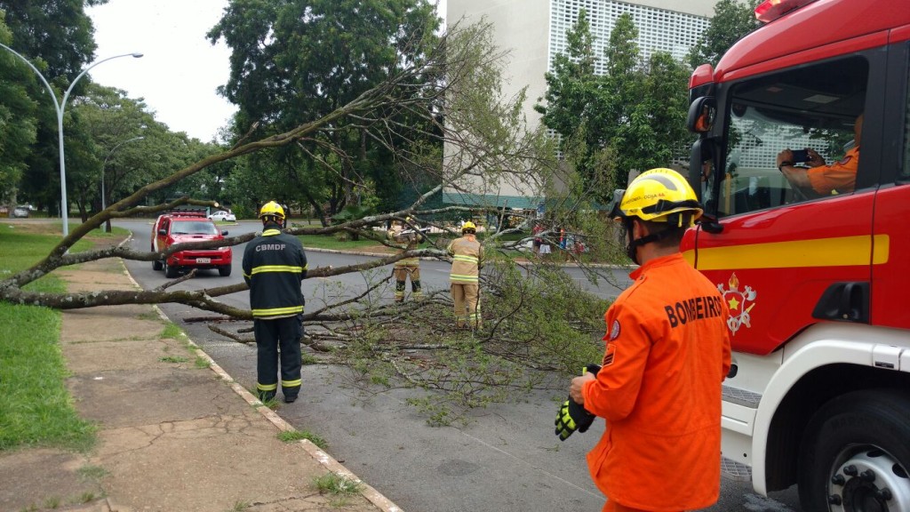 CBMDF/Divulgação