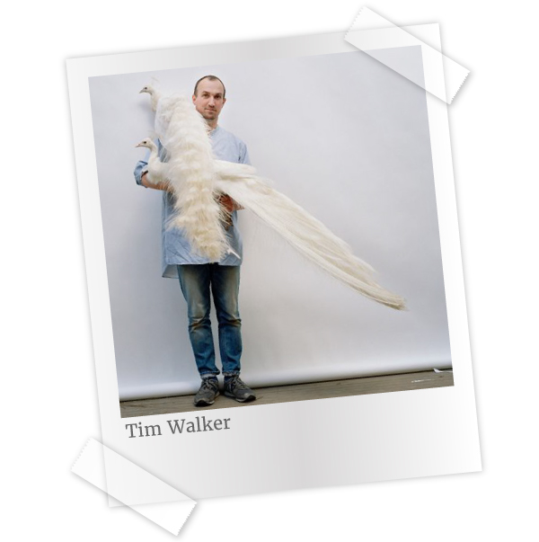 Divulgação/Tim Walker