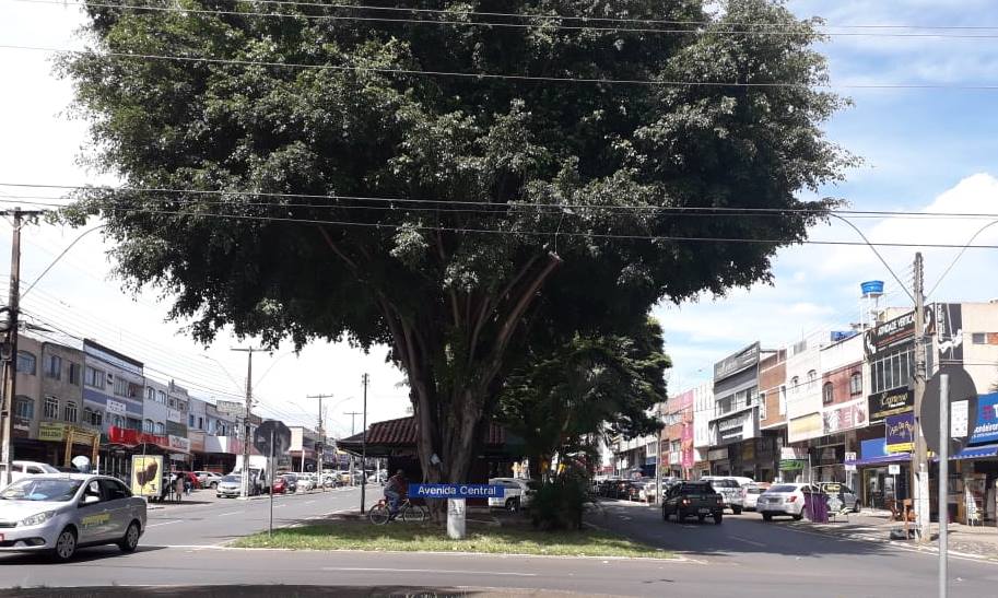 Conceição Freitas/Metrópoles