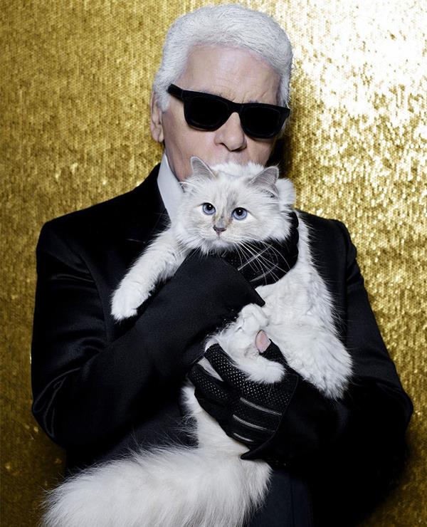 Karl Lagaerfeld e a gata Choupette