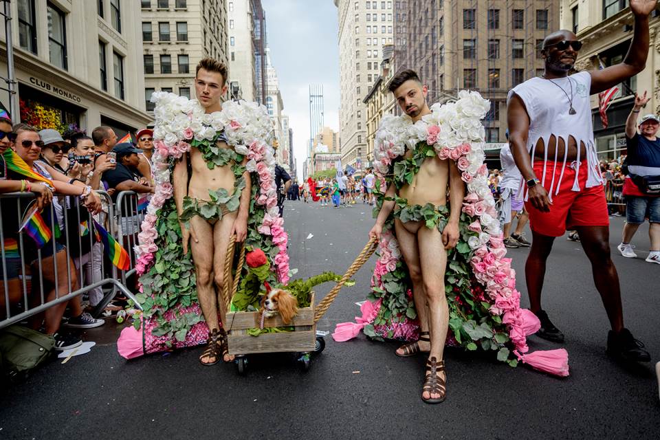 Roy Rochlin/Getty Images