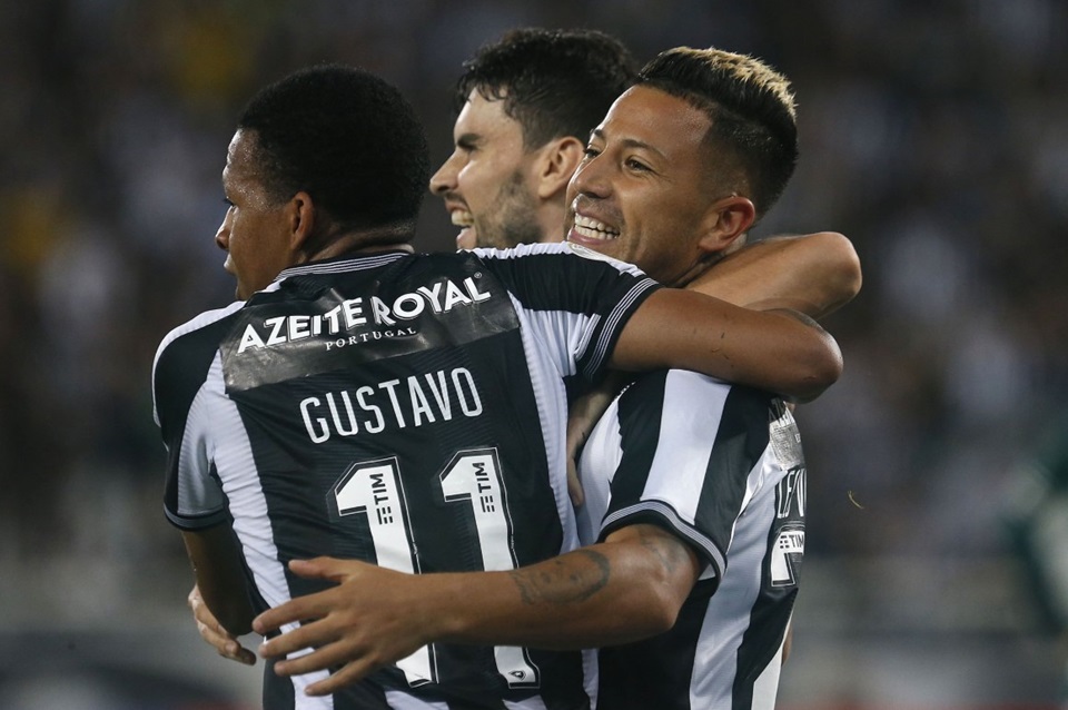 Botafogo Encerra Jejum E Derruba Série Invicta Do Goiás No Rio Metrópoles