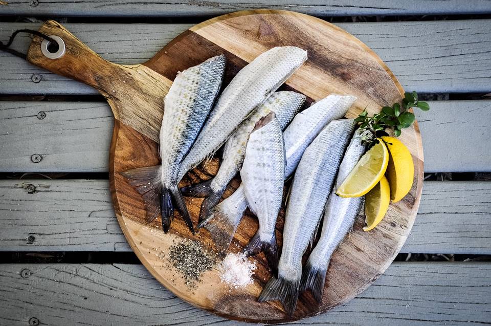 Foto colorida de uma sardinha - Metrópoles