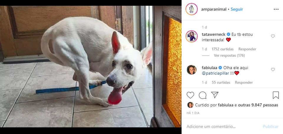 Reprodução/Instagram