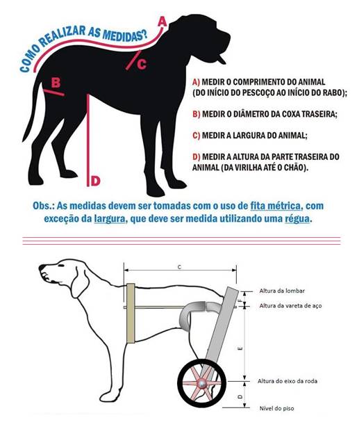 Reprodução/PortalDoDog