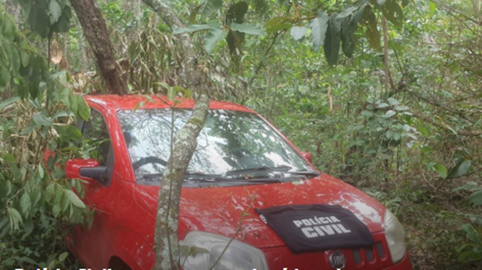 Polícia CIvil de Goiás/Divulgação