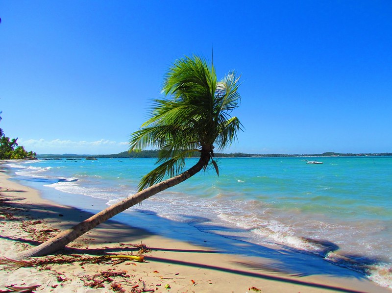 Praia dos Carneiros 