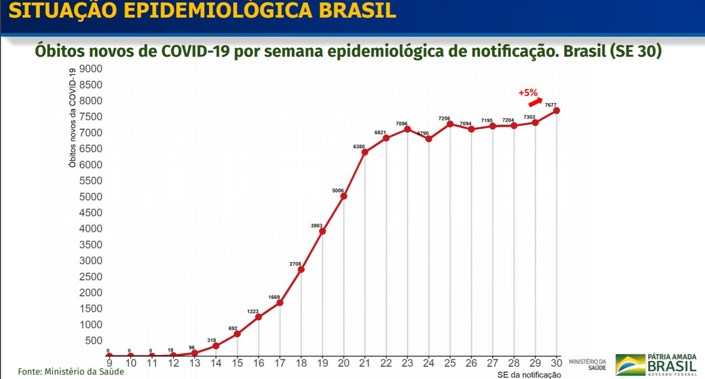 curva de mortes semana 30