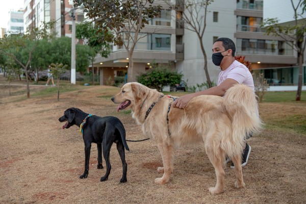 homem e dois cachorros