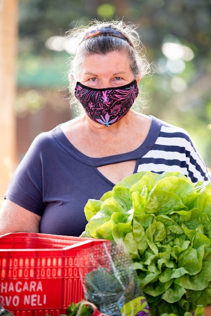 Empreendendo no Novo Normal. Produção de orgânicos na chácara Vovó Neli, Lago Oeste, com venda de hortifruti para o consumidor final