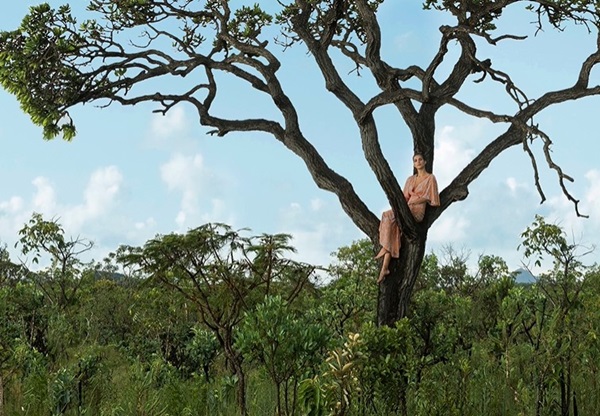 Modelo em cima de uma árvore