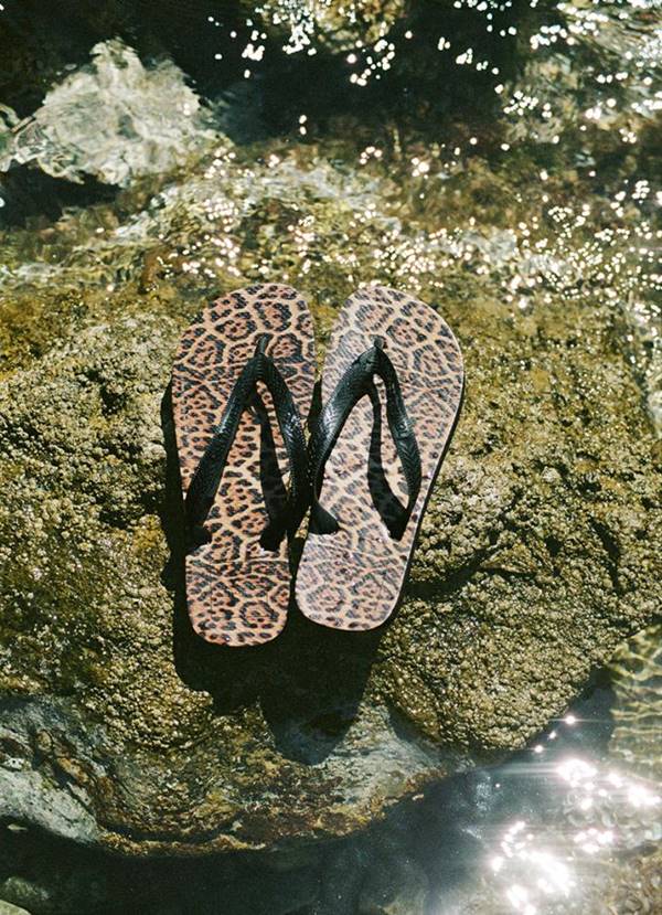 Havaianas de animal print em água