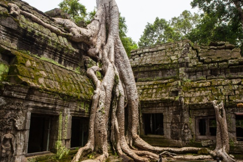 Pacote para o Camboja, com 10 ou 14 diárias