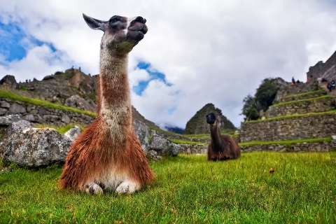 Pacote para Lima e Cusco, com 5 ou 6 diárias