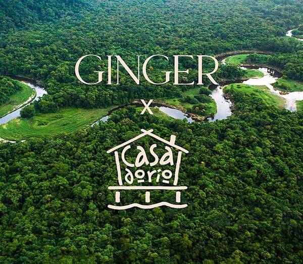 Arte Ginger x Casa do Rio