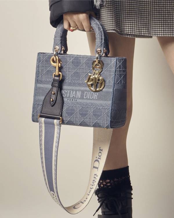 Bolsa Lady Dior