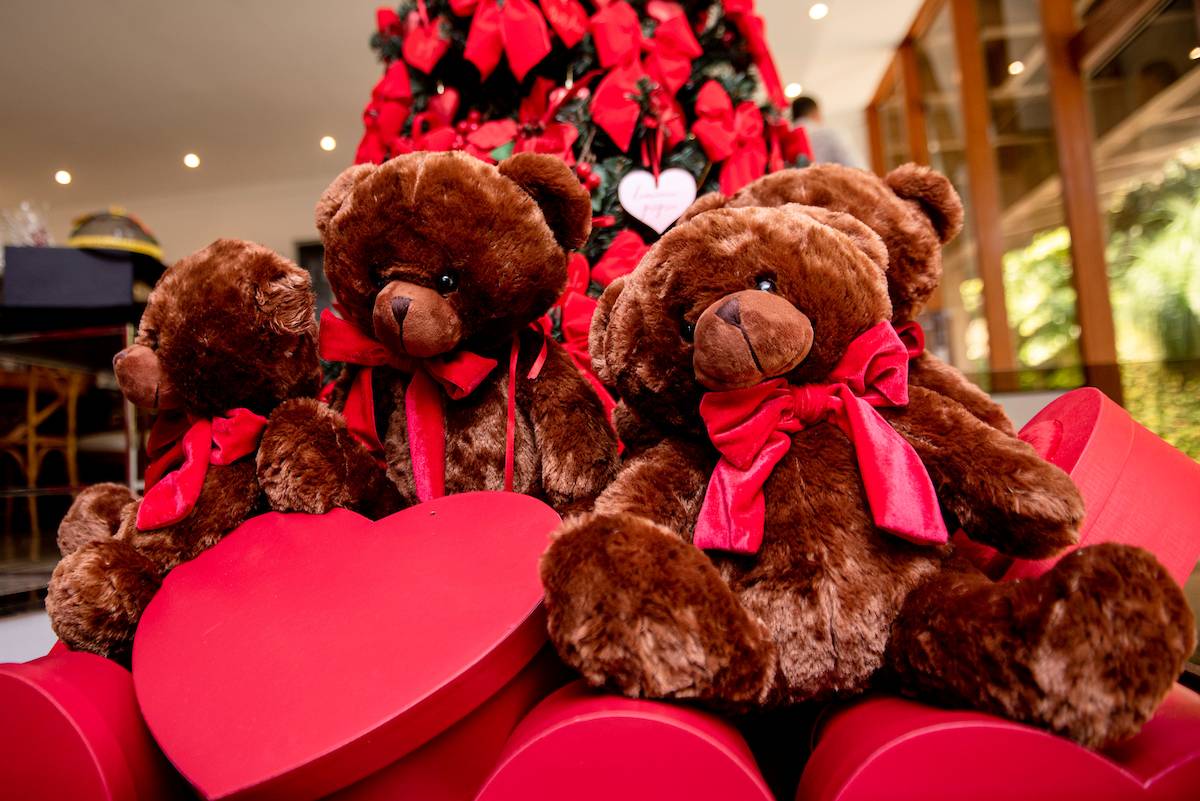 Brasília (DF), 06/11/2020. Fabiani Christine, Gabriela Alcoforado e Khenia Gomes convidam para almoço petit comite de lançamento do Especial de Natal das marcas Remembear, Vinalla Vinhos e Degustare. Foto: Jacqueline Lisboa/Especial Metrópoles