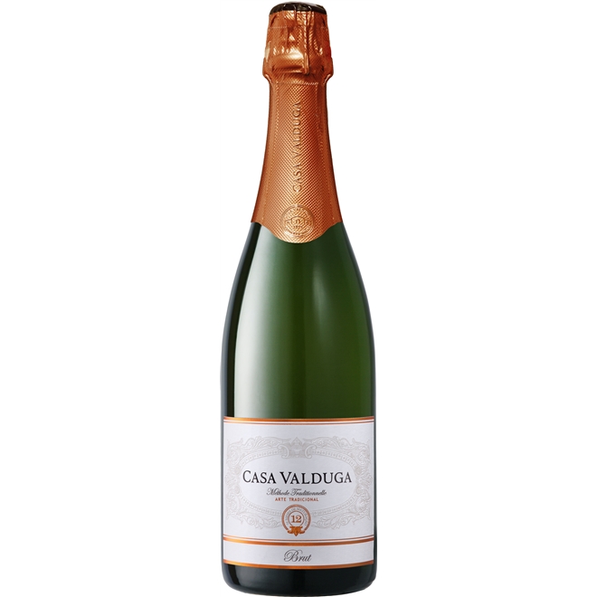 Casa Valduga Arte Brut