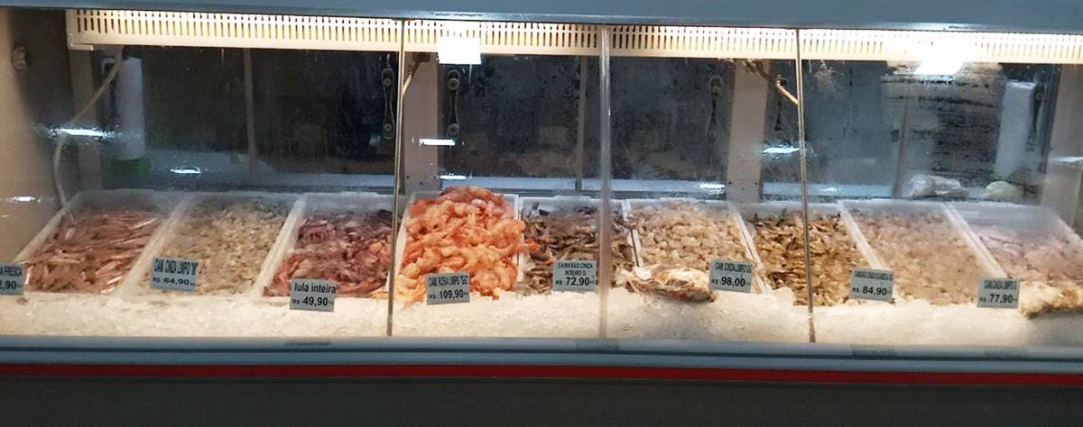 Vitrine refrigerada com peixes e frutos do mar