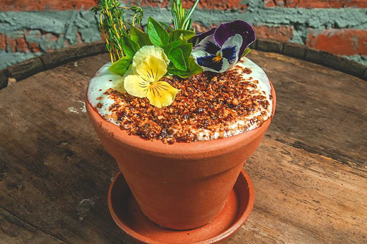 Jarro de planta com líquido, praliné de castanhas e flores comestíveis