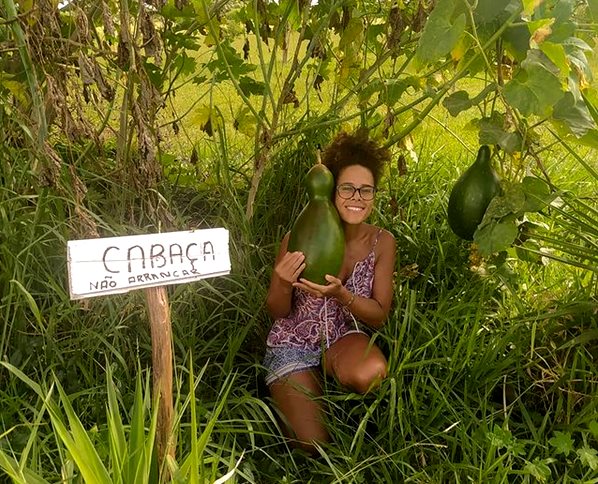 Cabaceira, árvore que dá a cabaça, matéria-prima do agbê