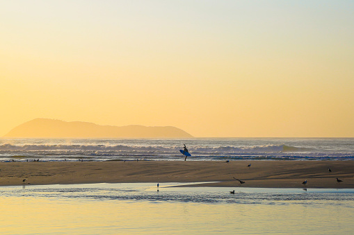 surfista caminhando no por do sol em praia